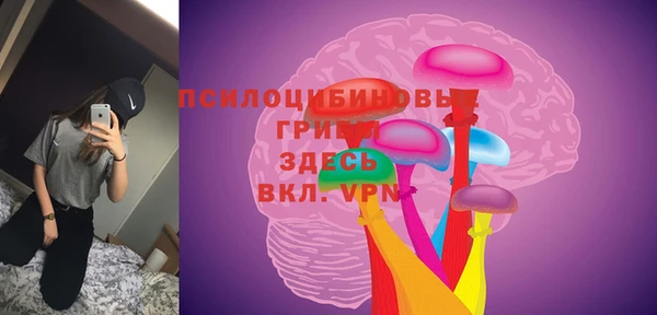 альфа пвп Нефтегорск