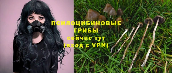 гашик Нефтекумск
