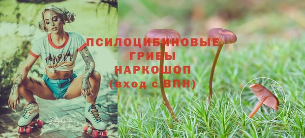 альфа пвп Нефтегорск
