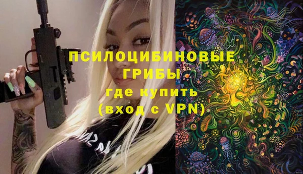 гашик Нефтекумск