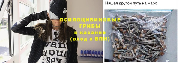 альфа пвп Нефтегорск