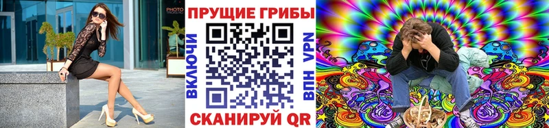 как найти   Абаза  Псилоцибиновые грибы Cubensis 