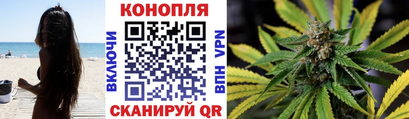Конопля ГИДРОПОН  маркетплейс какой сайт  Абаза  купить наркотики цена 